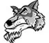 coyotes